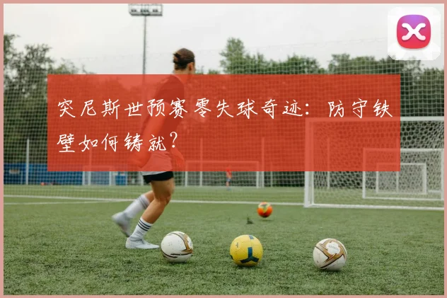 突尼斯世预赛零失球奇迹：防守铁壁如何铸就？
