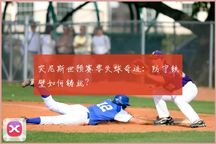 突尼斯世预赛零失球奇迹:防守铁壁如何铸就?